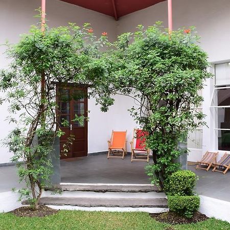 La Casa De Las Magnolias Hotel Coyoacan Esterno foto