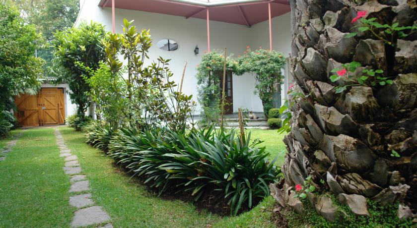 La Casa De Las Magnolias Hotel Coyoacan Esterno foto
