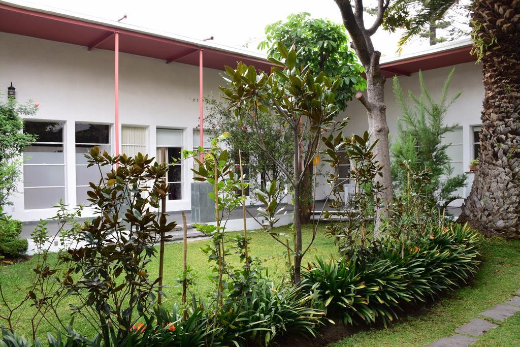 La Casa De Las Magnolias Hotel Coyoacan Esterno foto