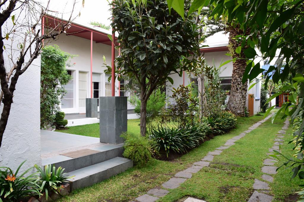 La Casa De Las Magnolias Hotel Coyoacan Esterno foto