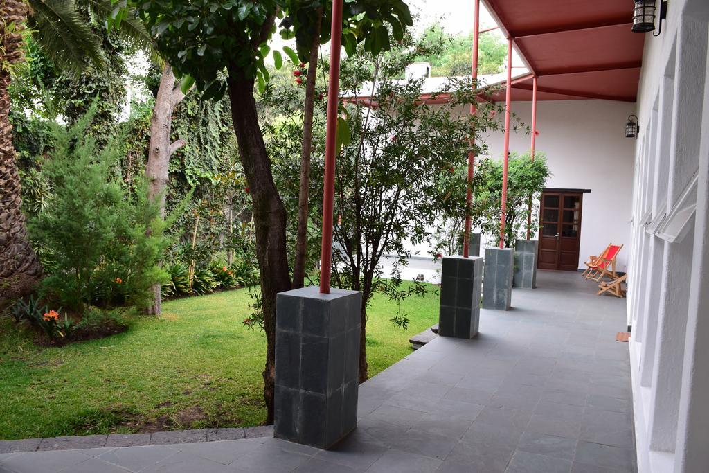 La Casa De Las Magnolias Hotel Coyoacan Esterno foto