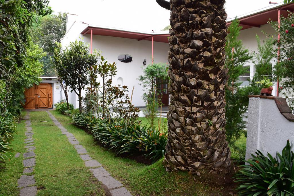 La Casa De Las Magnolias Hotel Coyoacan Esterno foto