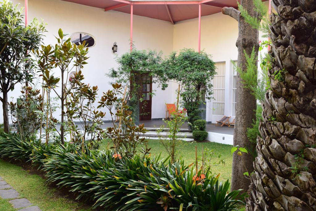 La Casa De Las Magnolias Hotel Coyoacan Esterno foto