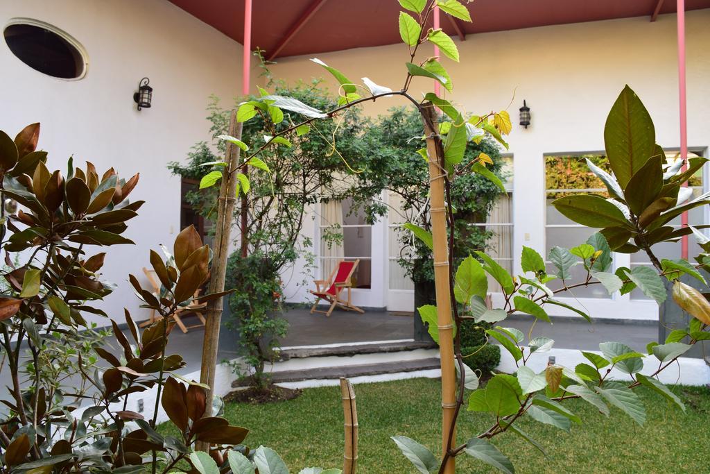La Casa De Las Magnolias Hotel Coyoacan Esterno foto