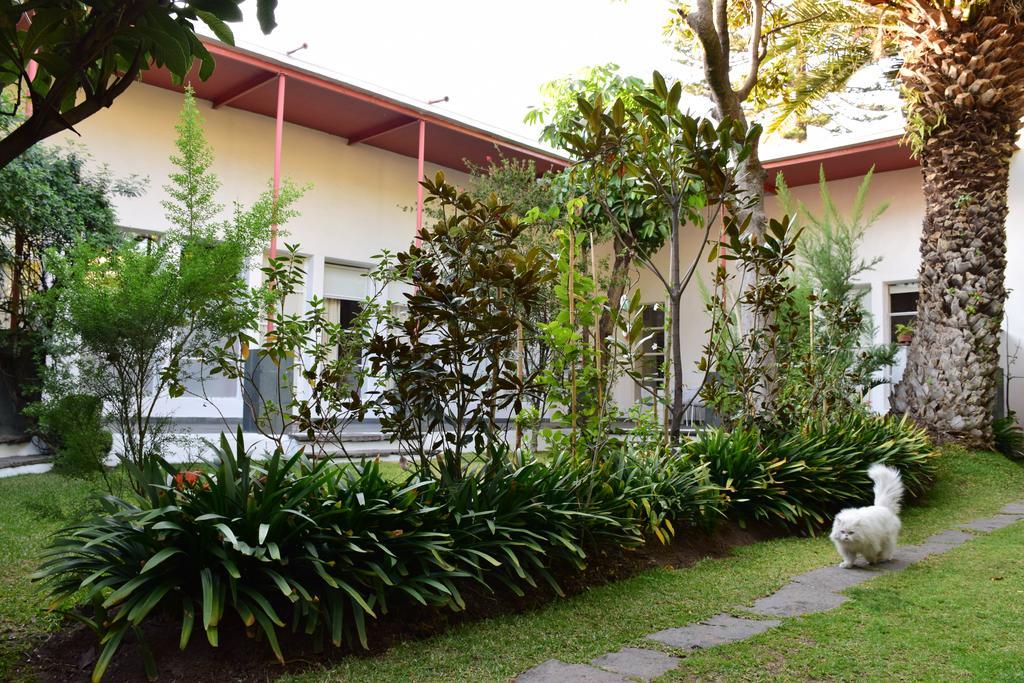 La Casa De Las Magnolias Hotel Coyoacan Esterno foto