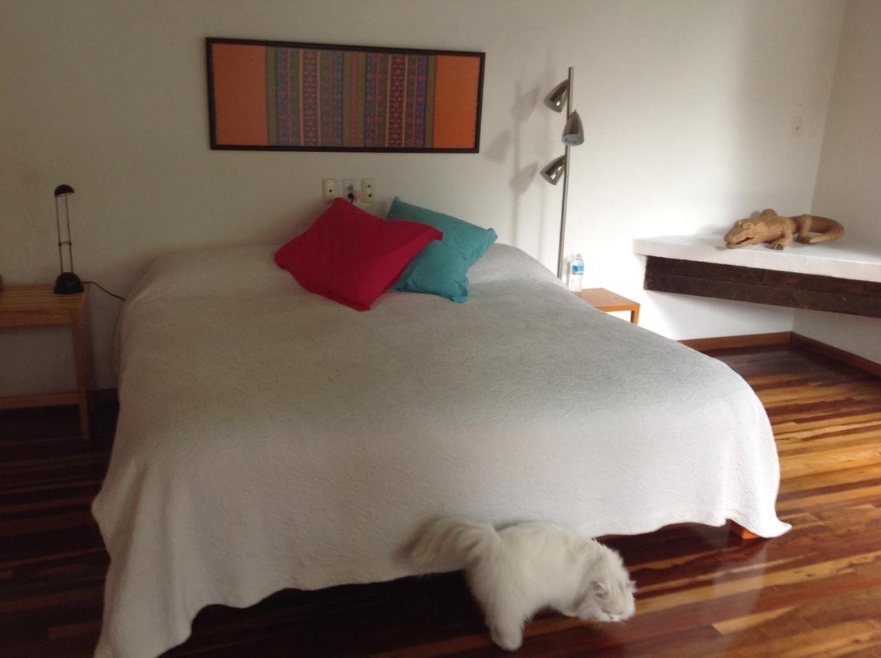 La Casa De Las Magnolias Hotel Coyoacan Esterno foto